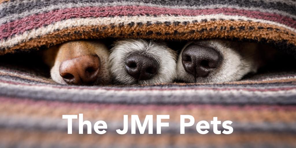 3 dog noses peeking out from under a striped blanket with text that reads The JMF Pets
